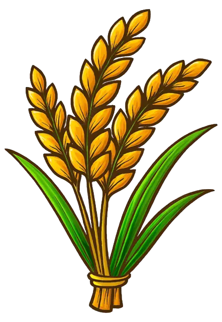 ধানের শীষ